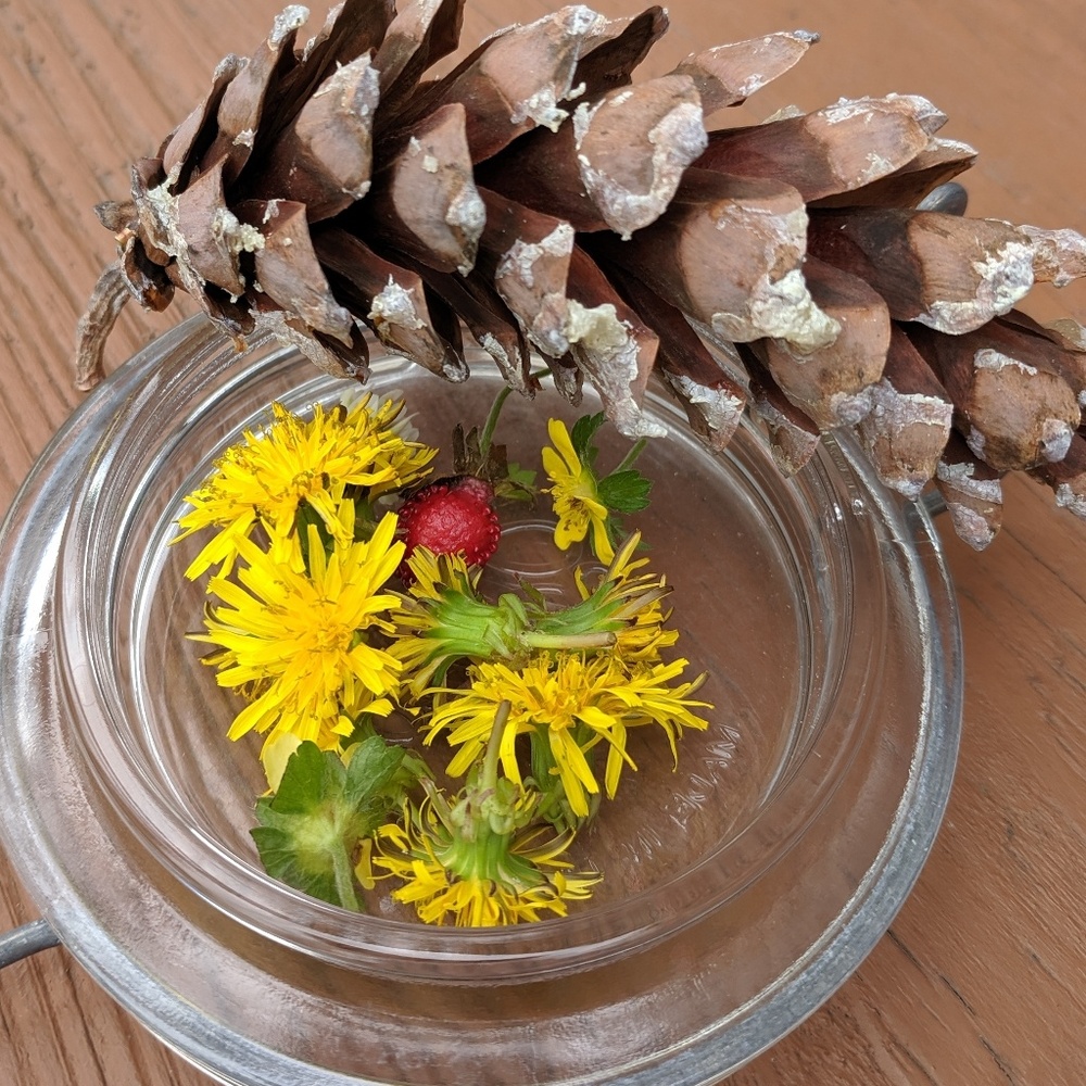 Meet your Posher, Danielle